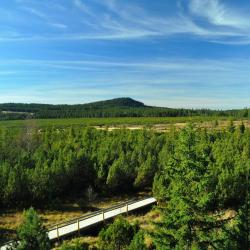Kvilda 14 spa hotels