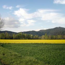 Vilobí d'Onyar 4 viešbučiai