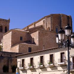 Horche 9 pet-friendly hotels