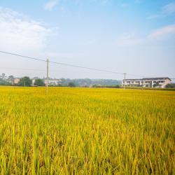 Shaoyang County 2 hotely