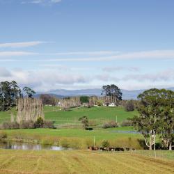 Deloraine 3 holiday homes