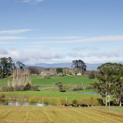 Deloraine 3 B&B-uri