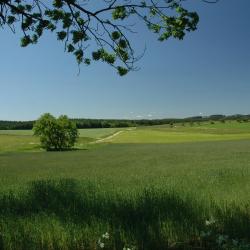 Prostějov Privatni smještaji (7)