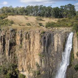 Howick 18 pet-friendly hotels