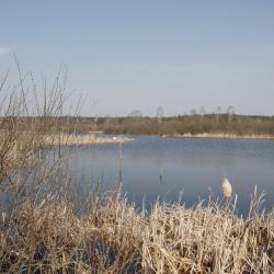 Ślesin 7 holiday rentals