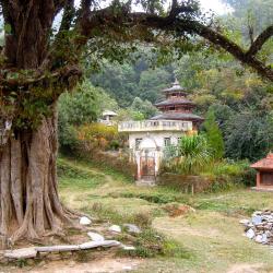 Bandipur