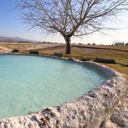 Vetralla 34 pet-friendly hotels