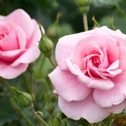 Zweibr&uuml;cken 6 hotel di lusso