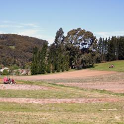 Keilor 4 hotels