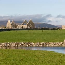 Gort 3 cottages