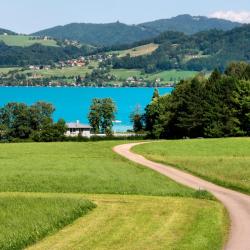 Sankt Georgen im Attergau 9 holiday rentals