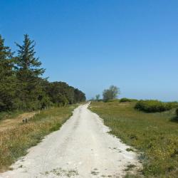 Gedser 66 holiday rentals
