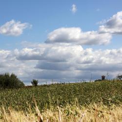 Castel San Pietro Terme 10 vacation rentals