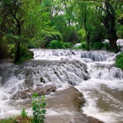 Ejea de los Caballeros 3 &xi;&epsilon;&nu;&omicron;&delta;&omicron;&chi;&epsilon;ί&alpha; &mu;&epsilon; &pi;ά&rho;&kappa;&iota;&nu;&gamma;&kappa;