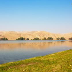Buttonwillow 6 hotels