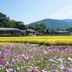 牙山市 9家带停车场的酒店