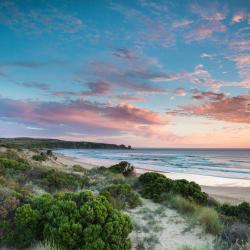 Island Beach 5 holiday homes