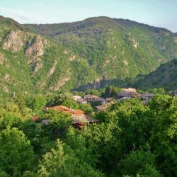 Kovačevica 3 villas