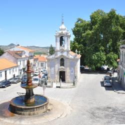 Alijó 3 casas de campo