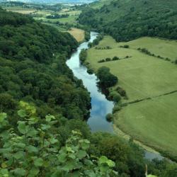 Symonds Yat 14 hotelů pro pobyt s domácími mazlíčky