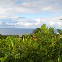 Cudjoe Head 1 hotel