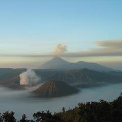 Probolinggo 3 auberges de jeunesse