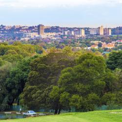 Bedfordview 5 hoteller