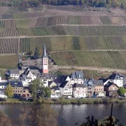 Zell an der Mosel 19 of the cottages