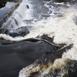 Wayne 5 hot&eacute;is com piscina