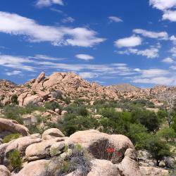 Willcox 17 hotels