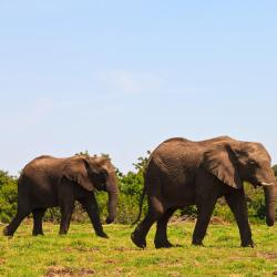 Дамараленд 4 hotels with parking