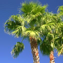 Greenacres City 4 hotely
