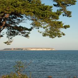 Tofta 11 of the holiday rentals