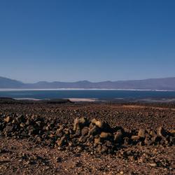 &lsquo;Arta 1 khách sạn