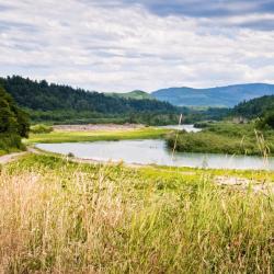 Enumclaw 5 ξενοδοχεία που δέχονται κατοικίδια
