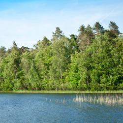 Ljungby 4 holiday rentals