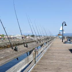 Campbell River 28 hoteller