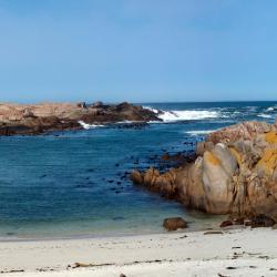 Paternoster 187 hotels