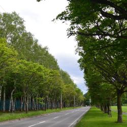 帶廣 4 間溫泉住宿