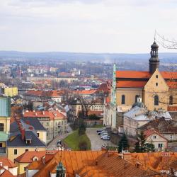 Przemyśl 82 pet-friendly hotels
