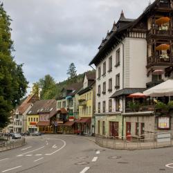 Triberg 4 guest houses