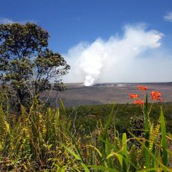 Volcano 102 Hotels