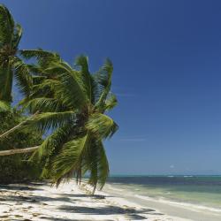 Grand'Anse Praslin 12 apartments