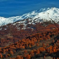 Bardonecchia 3 bed and breakfasts