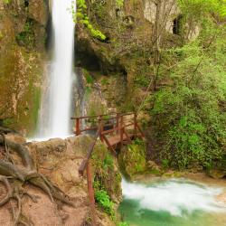 Soko Banja 441 holiday rentals