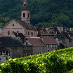 Riquewihr 77 hotels