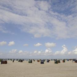 Bambus, Wangerland (aktualisierte Preise fr 2026)