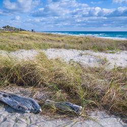 Delray Beach 141 hotelov