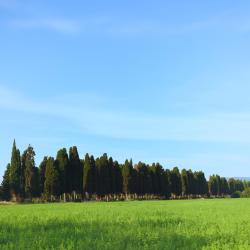 Castagneto Carducci 16 farm stays