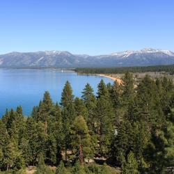 Tahoe City 3 cabins